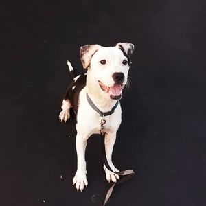 Meet your Posher, Ellie